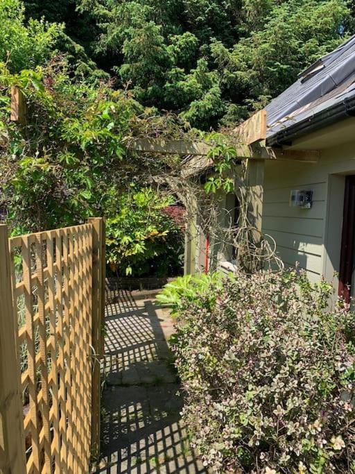 קורק The Bird House - Coastal Lodge In Lovely Forest Setting Nr. Kinsale מראה חיצוני תמונה